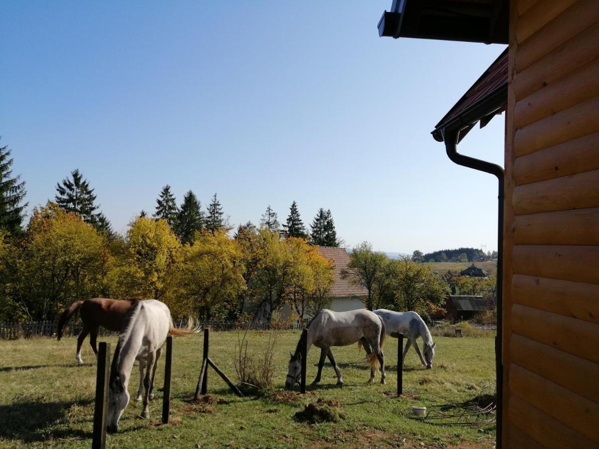 Apartmani Tarin zov Kaludjerske Bare Dış mekan fotoğraf